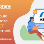 Why Should You Choose ASP .NET Development?