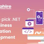 Why Pick Dot Net For Business Application Development