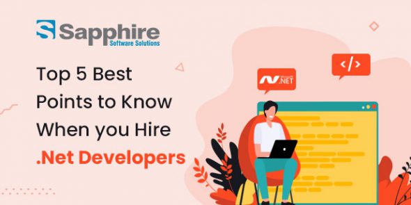Top 5 Best Points to Know When you Hire Dot Net Developers