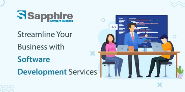 Streamline Your Business with Software Development Services