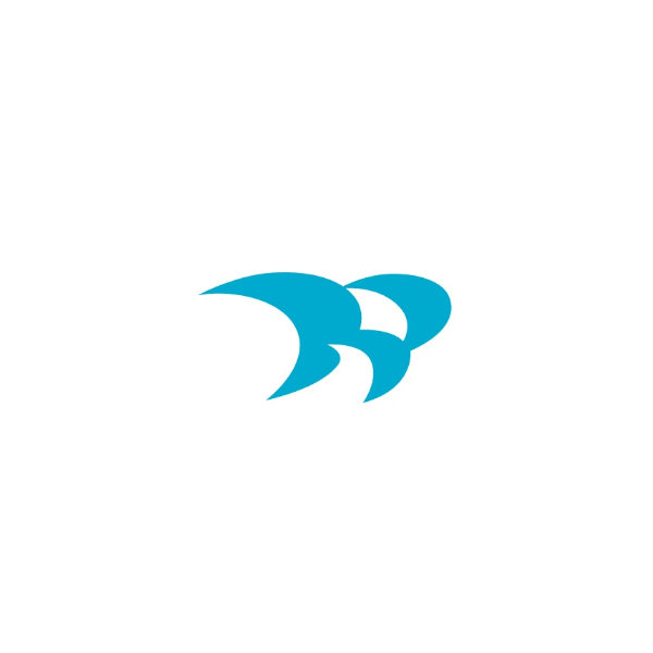 companylogo